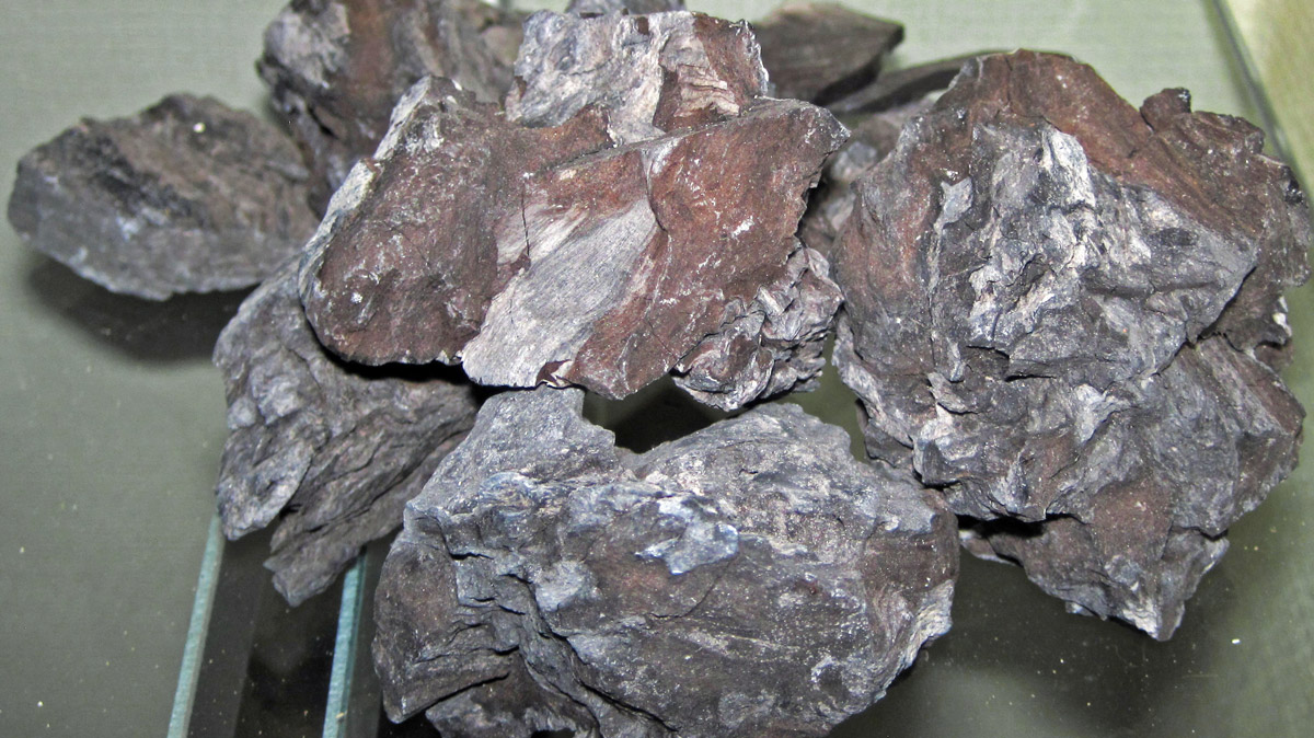 モンタンワックスの原料となる褐炭の画像です。
