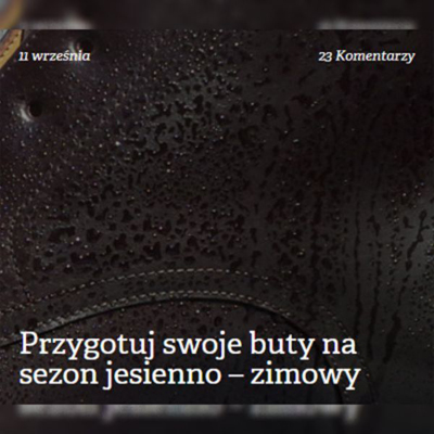 ポーランドのサイトPATINEで公開されている記事のサムネ画像