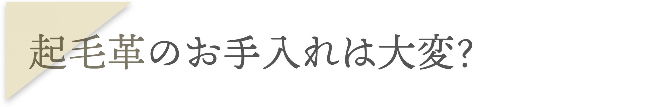 起毛革のお手入れは大変？