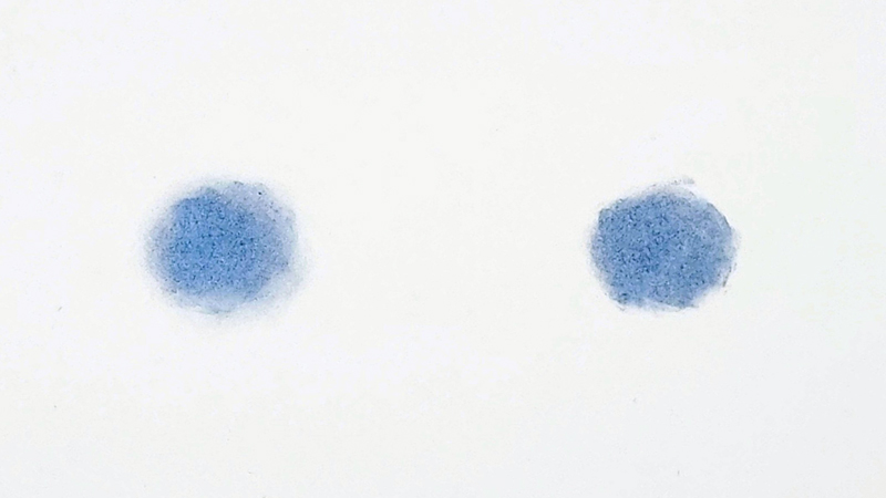 ← SAPHIR / SaphirNoir →